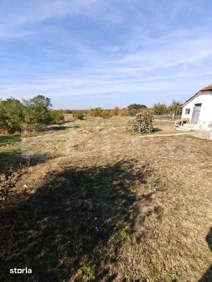 Teren de 1200 mp, în Negru Vodă
