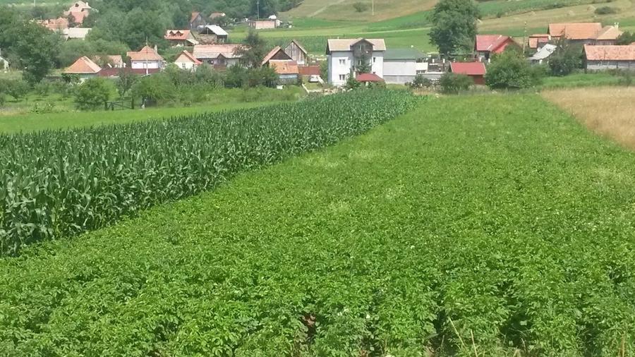 Teren extravilan de 4481 mp, în Vâlcele