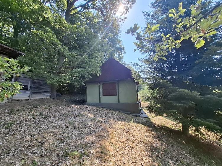 Casă cu Teren 2700 Mp în Central