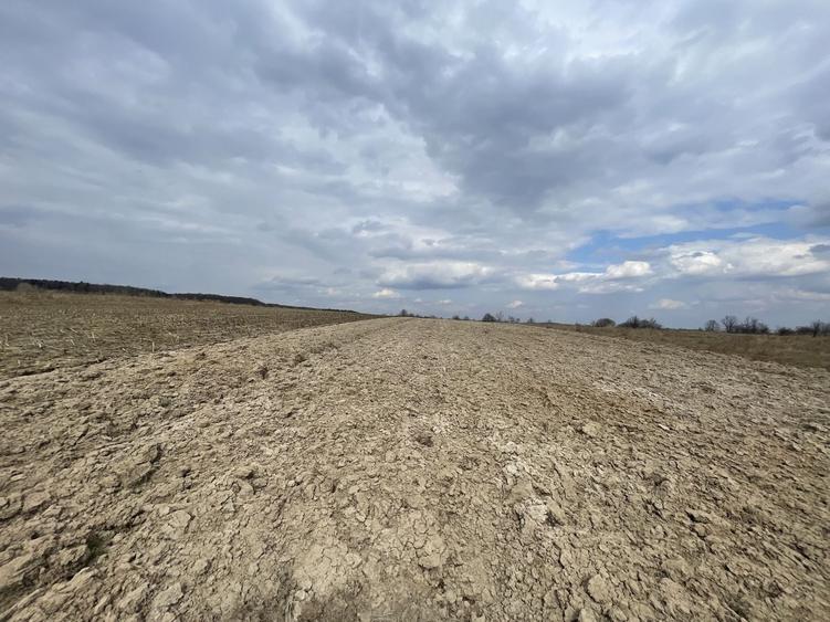 Teren agricol extravilan de 2300 mp, în Horodnic de Sus