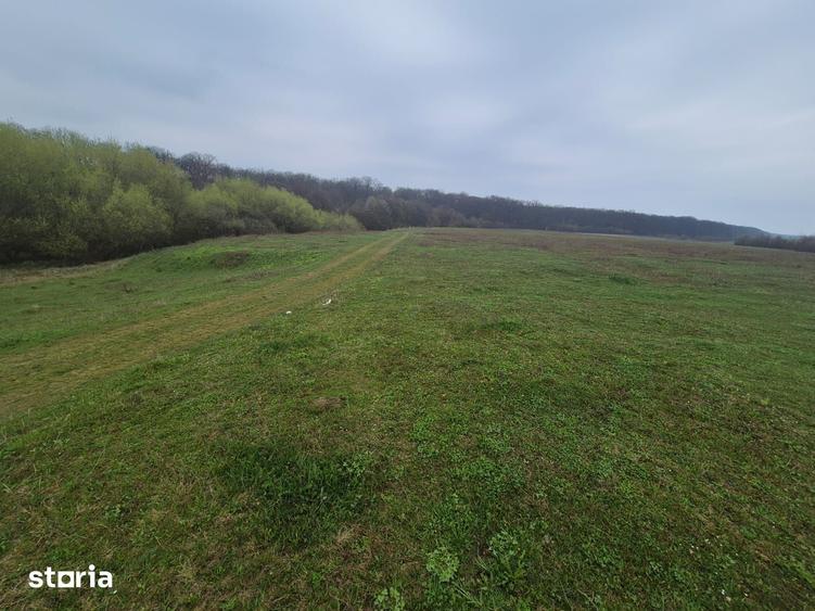Teren de 10070 mp, în Mitocu Dragomirnei