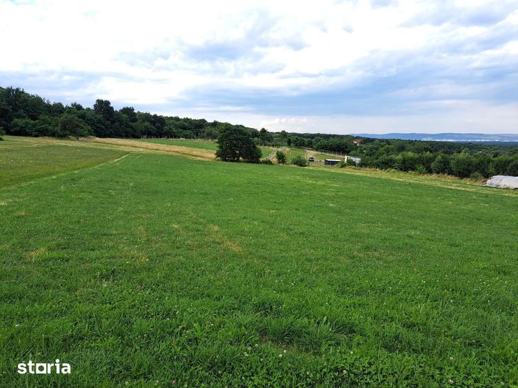 Oportunitate-Teren Extravilan 6200 mp cu vedere Panoramica-Tropinii No - 2