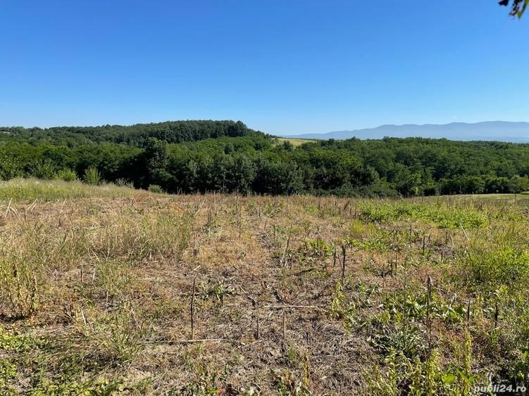 Teren de 1600 mp, în Cuied