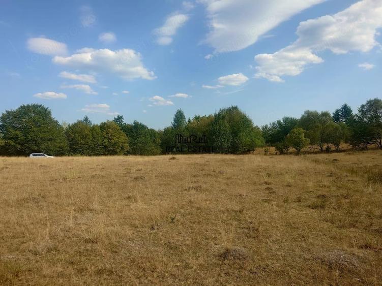Teren de 9059 mp, în Central