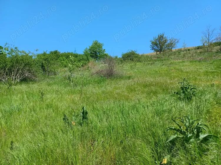 Teren de 1900 mp, în Cuza Vodă (Popricani)