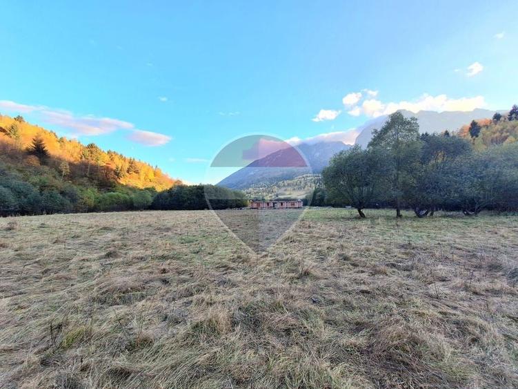 Teren agricol extravilan de 3981 mp, în Plaiul Foii