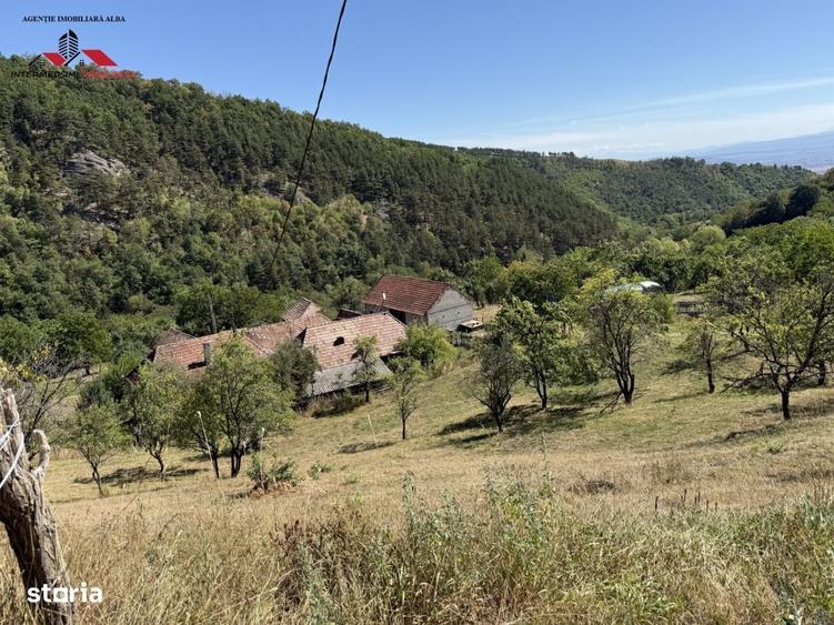Spațiu comercial, în Valea Vințului