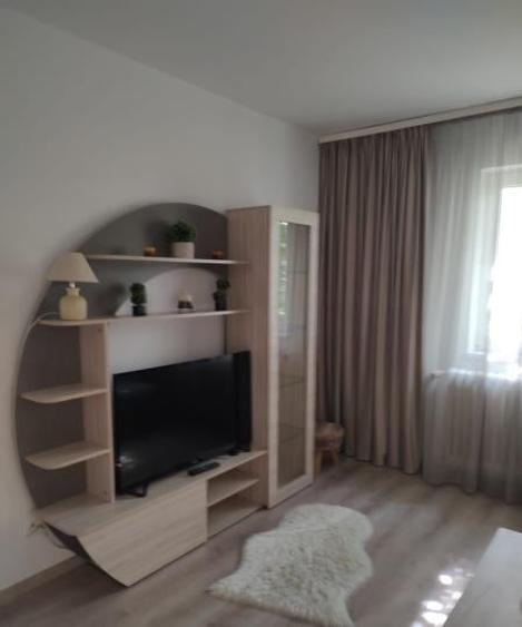 Închiriere Apartament 2 camere în Berceni - 4
