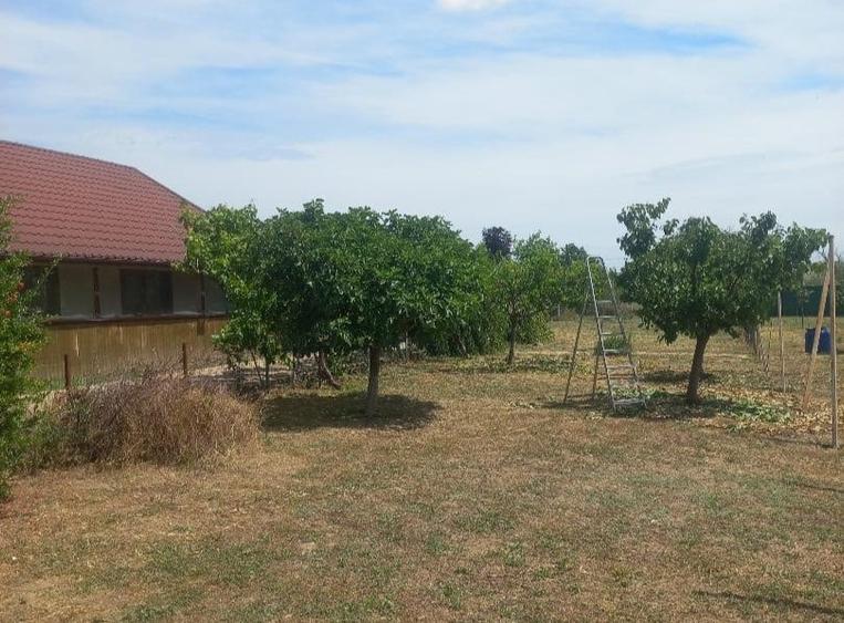 Casă individuală cu 3 camere cu Canalizare în Mihail Kogălniceanu
