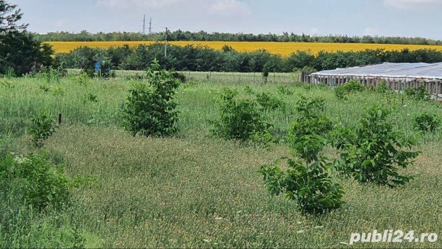 Teren de 1000 mp, în Central