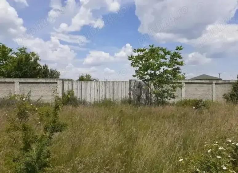 Teren de 1600 mp, în Dragomirești-Vale