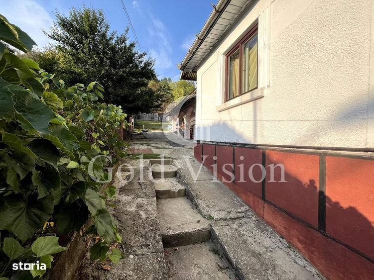 Casă cu 3 camere în Tudor