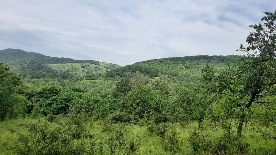 Teren de 4100 mp, în Rușavăț