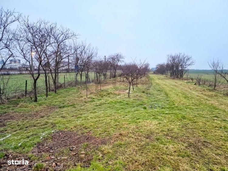 Casă cu 3 camere cu Teren 750 Mp în Bicaci