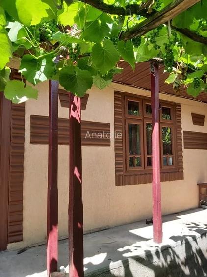 Vand casa in sat Idrici