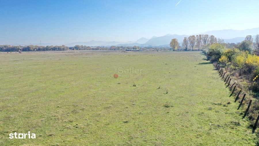 Teren de 55700 mp, în Stupini