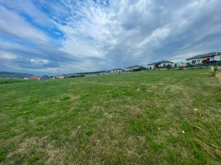 Teren Construcții intravilan de 5800 mp, în Baciu
