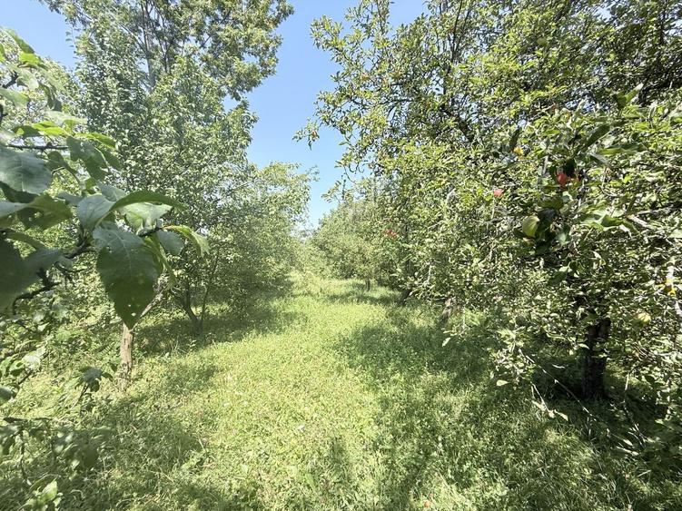 Casa interbelică cu arhitectură deosebită+Anexa și teren 1570 mp - 27