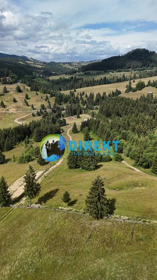 Teren agricol extravilan de 5000 mp, în Piatra Fântânele