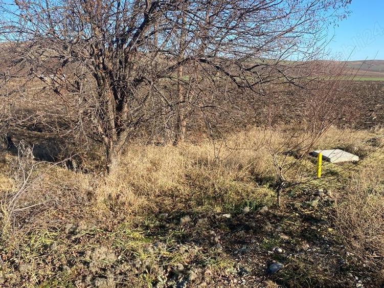 Teren de 4500 mp, în Speranța