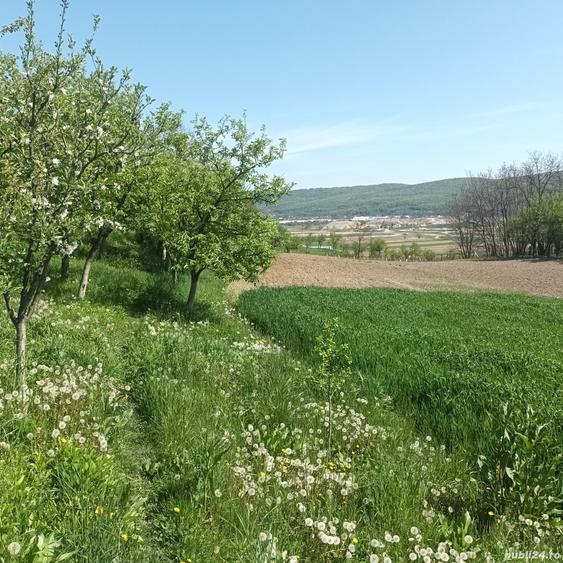 Teren în Micești
