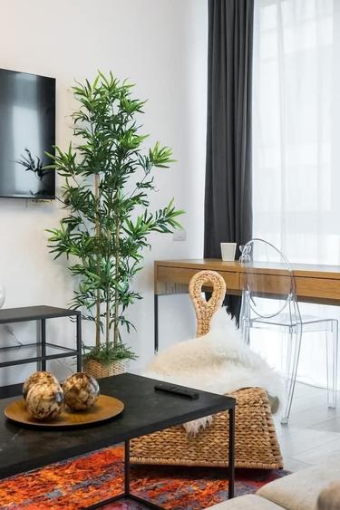 Apartament cu 2 camere în Herăstrău