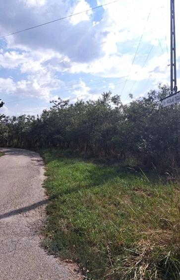 Teren de 3000 mp, în Mândruloc