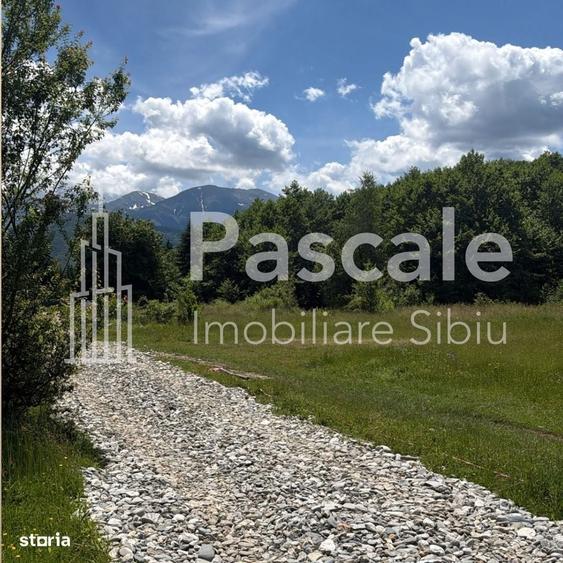 Spațiu comercial, în Central