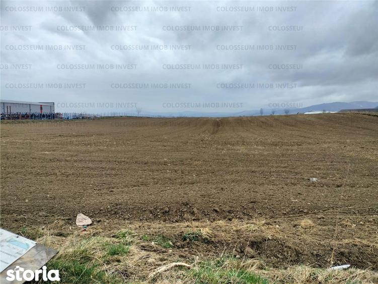 Teren de 5500 mp, în Central