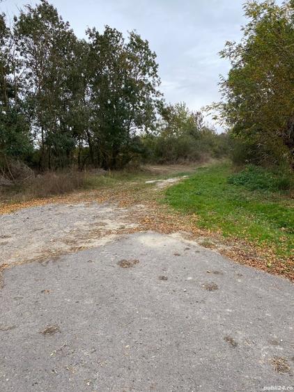 Teren de 4990 mp, în Duboz