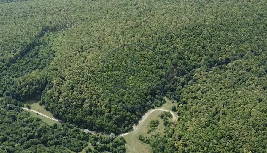 OPORTUNITATEA RARA DE INVESTI?IE- PADURE DE VANZARE 38,24 HA- MINTIU - 3