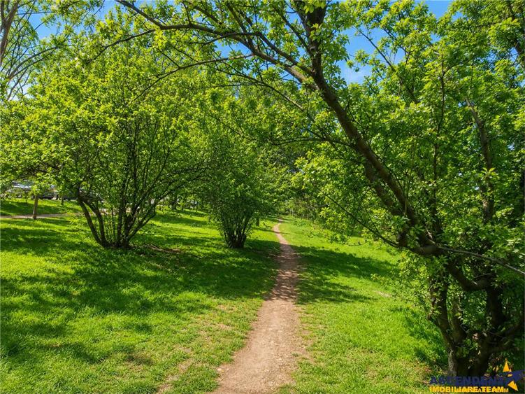 Casă cu 4 camere cu Teren 343 Mp în Florilor