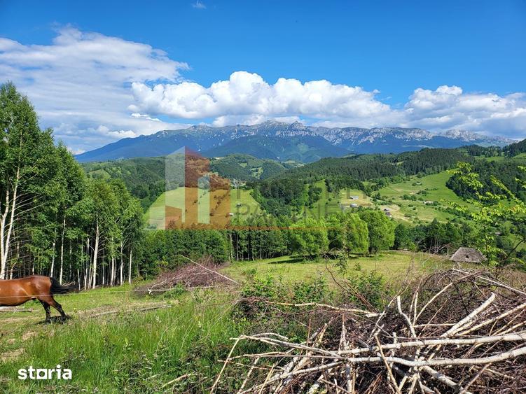 Teren de 29595 mp, în Moieciu
