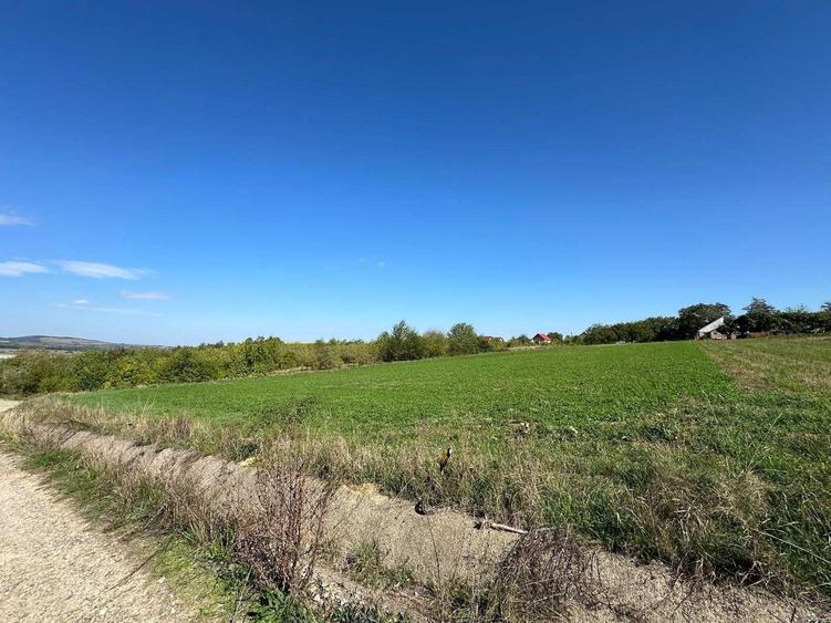 Teren de vanzare in Adancata 43 ari - pretabil ansamblu imobiliar - 8