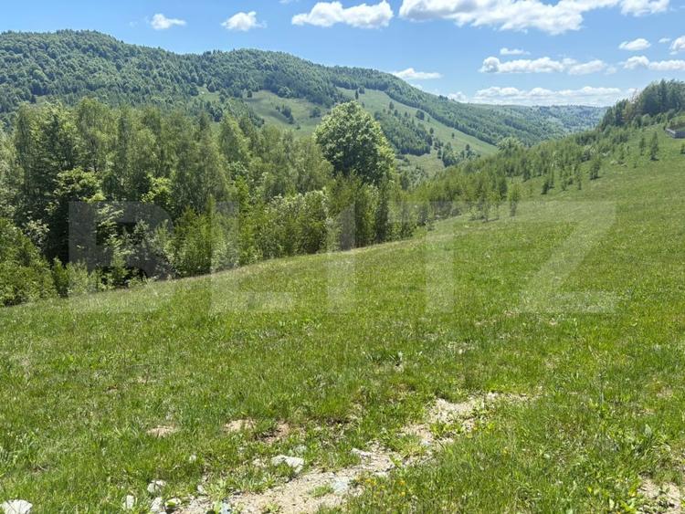 Teren Construcții intravilan de 1000 mp, în Muntele Băișorii