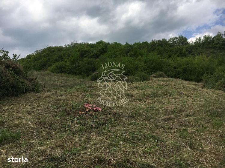 Spațiu comercial, în Jelna