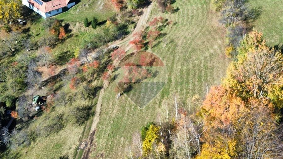 Teren agricol intravilan de 3000 mp, în Sohodol