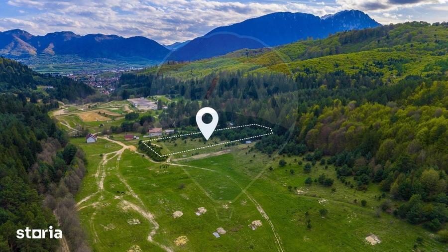 Teren de 10000 mp, în Brebina
