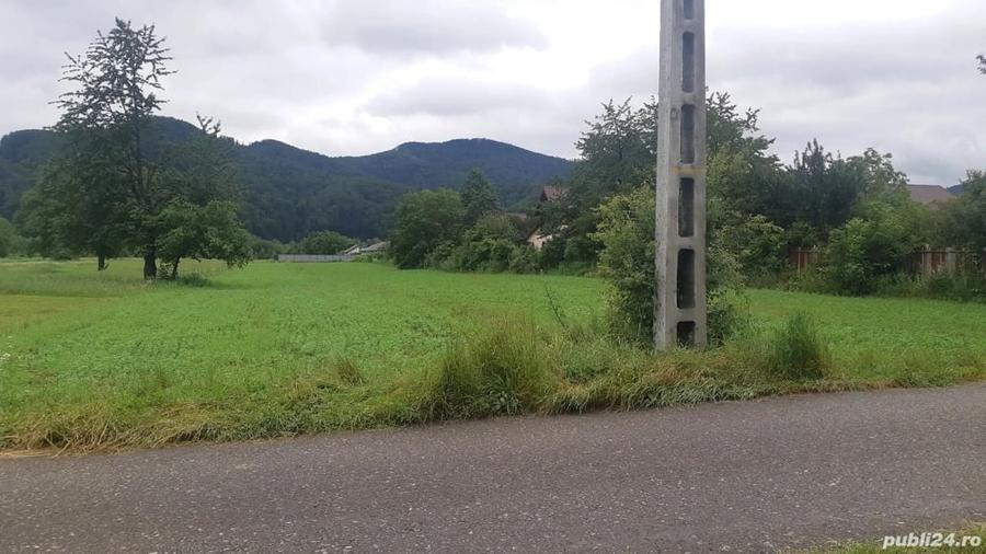 Teren de 5422 mp, în Viișoara