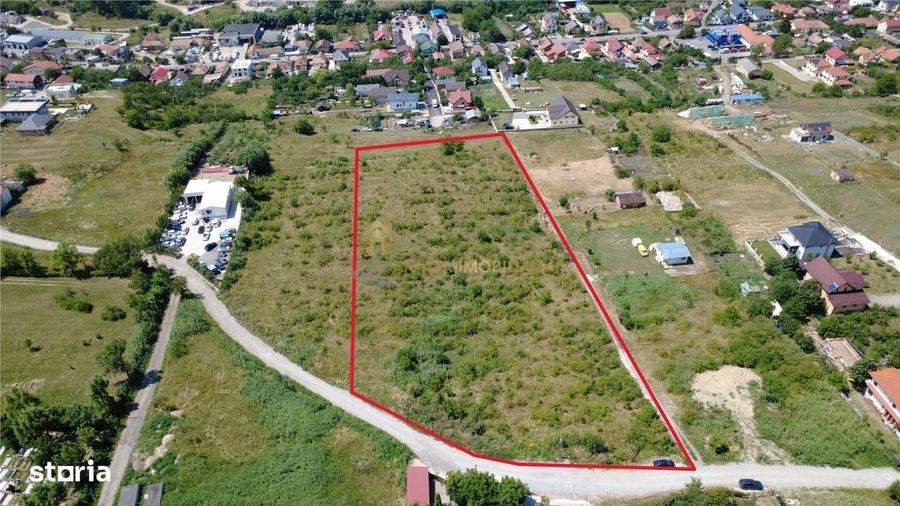 Teren Extravilan 16758 Mp Parcelabil Strada Pomet Iris - 7