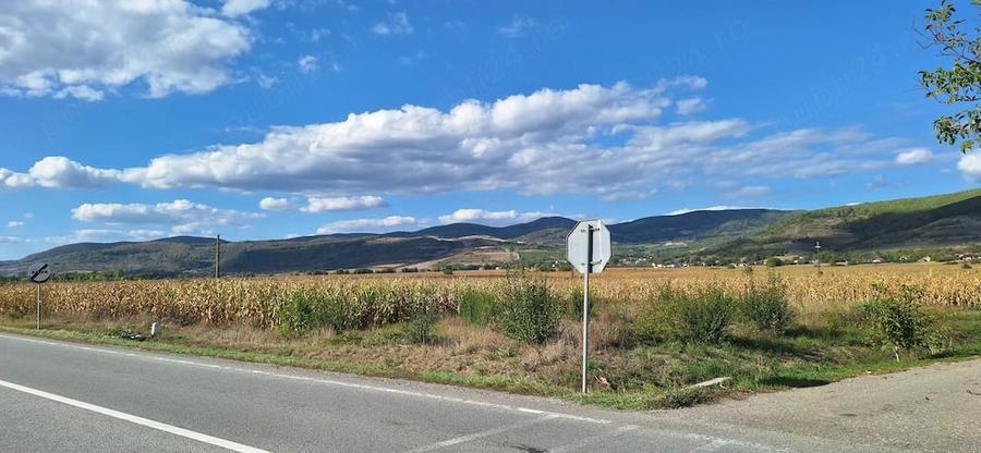 Teren de 14000 mp, în Coplean