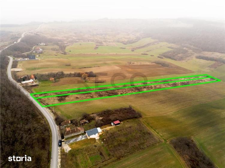 Teren de 13041 mp, în Sârbi