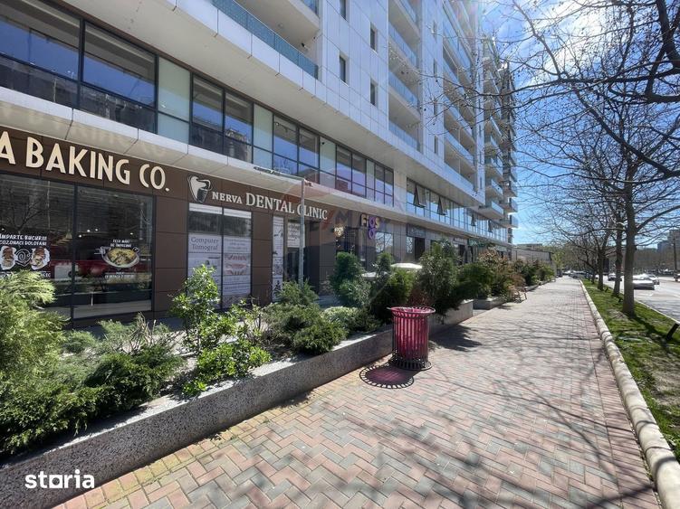 Apartament cu 2 camere, mobilat în Nerva Traian