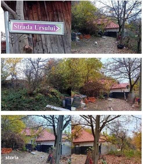 Casă cu 2 camere în Dobriceni