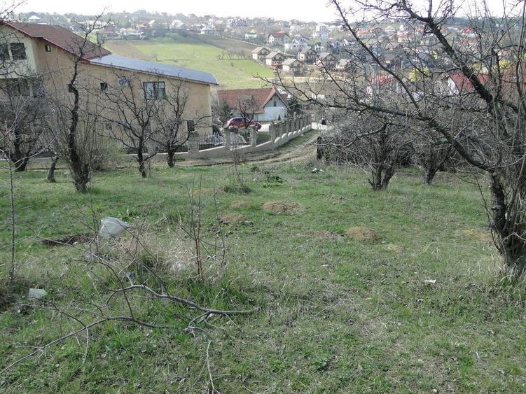 Teren intravilan , Bucium Barnova - 3