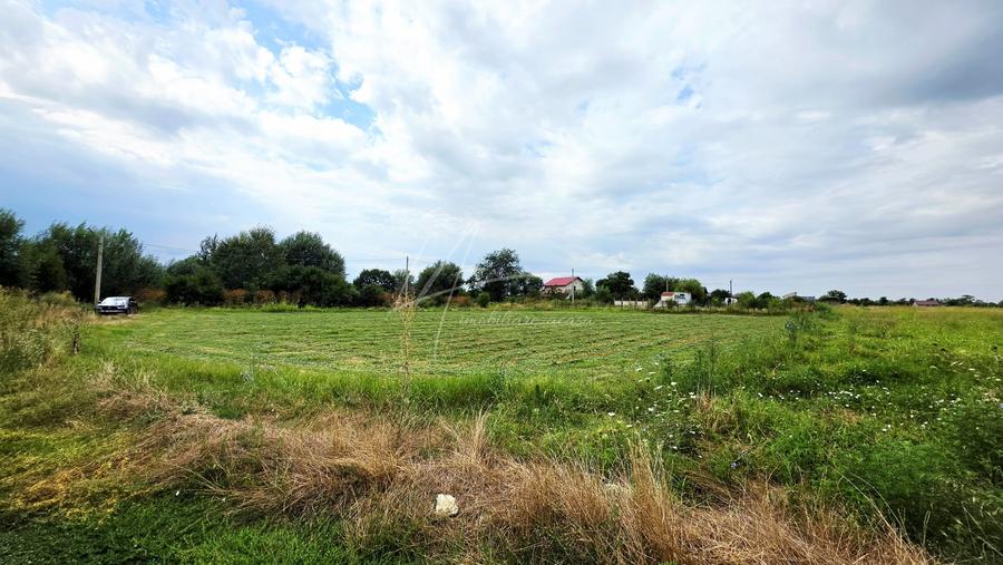 Teren Construcții intravilan de 2688 mp, în Țegheș