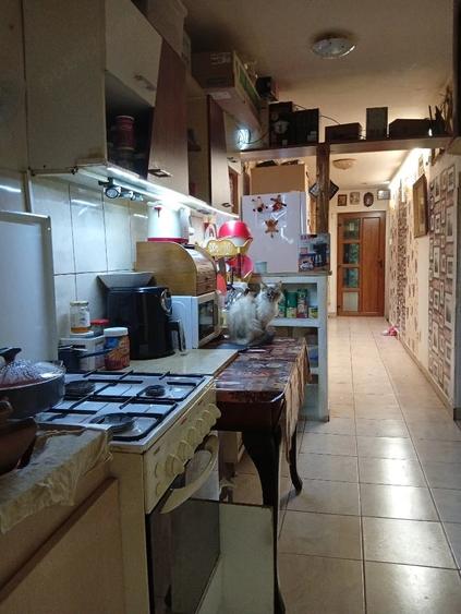 Casă cu 3 camere cu Teren 200 Mp în Copou