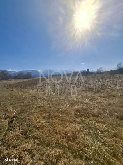 Teren de 2100 mp, în Central