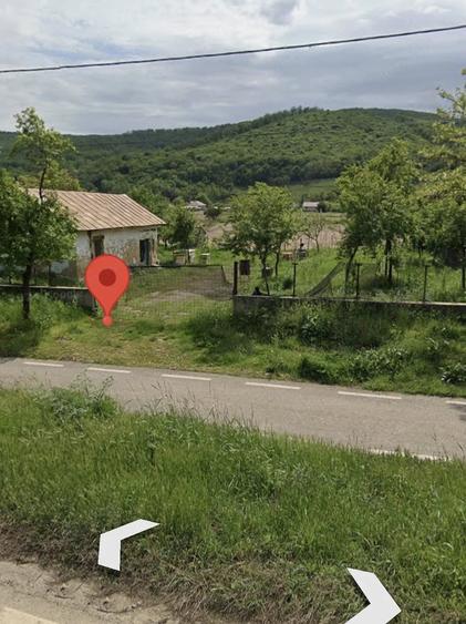 Teren de 4306 mp, în Ciucurova