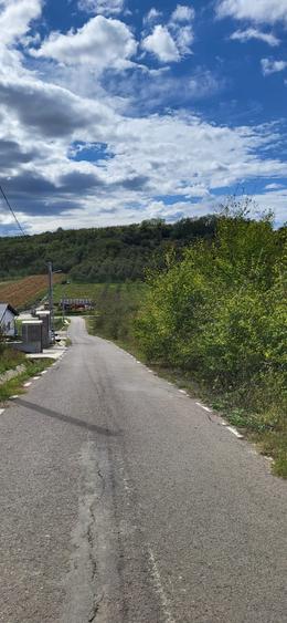 Teren Construcții intravilan de 2900 mp, în Crișeni